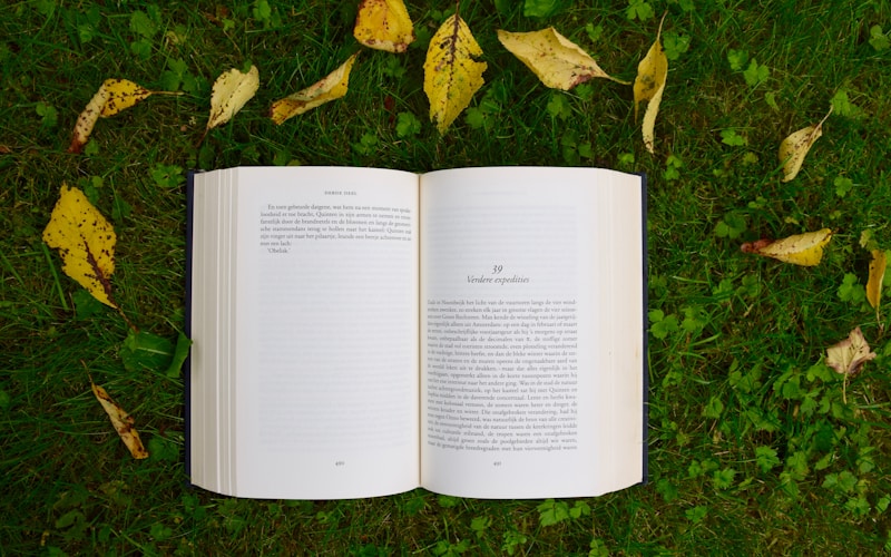 ISBN e ficha catalográfica: o que você precisa saber