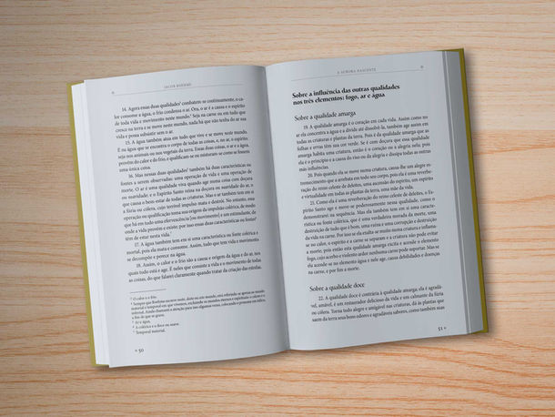 A Aurora Nascente — Imagem 4