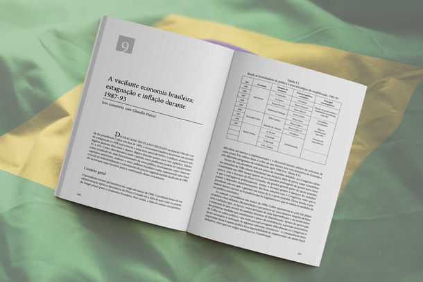 A Economia Brasileira — Imagem 3