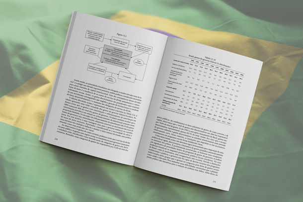 A Economia Brasileira — Imagem 4