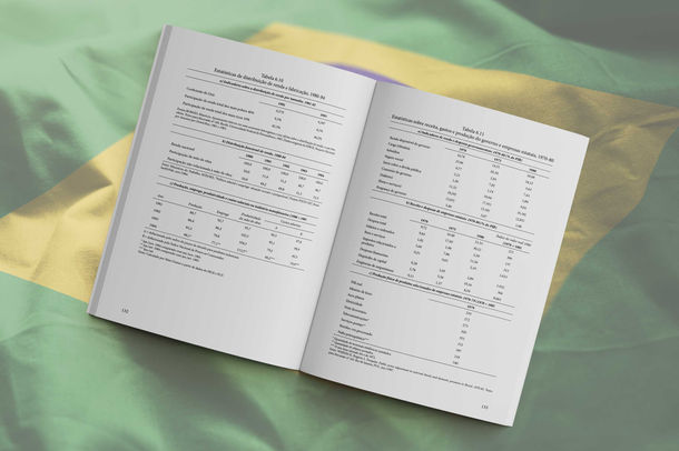 A Economia Brasileira — Imagem 5