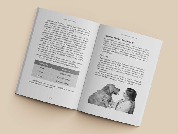 Manual do Golden Retriever — Imagem 3