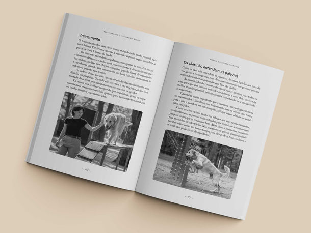 Manual do Golden Retriever — Imagem 5