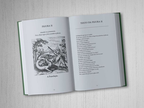 O Tratado da Pedra Filosofal — Imagem 7