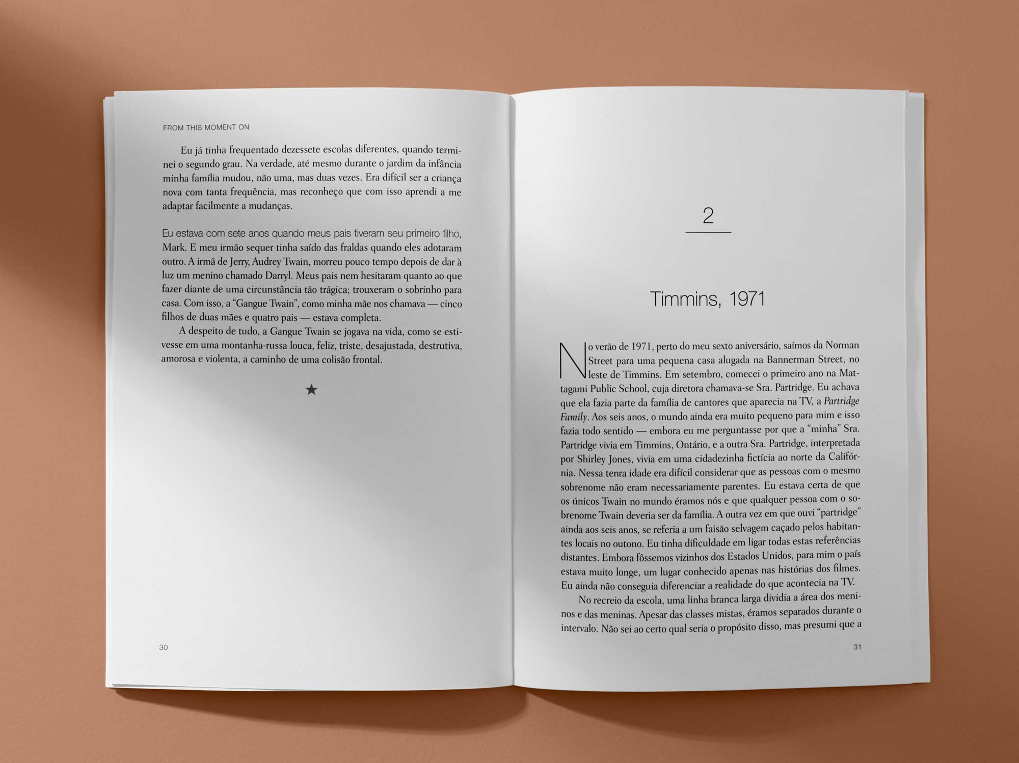 Shania Twain — Imagem 3